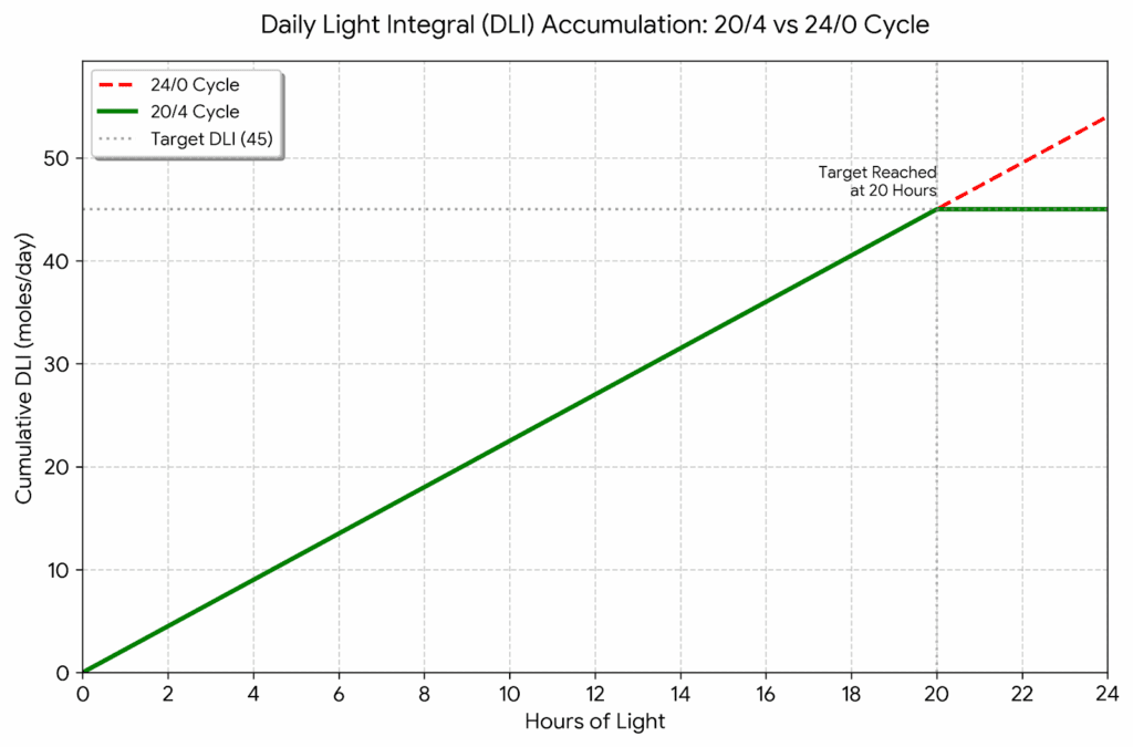 DLI chart comparing 20/4 vs 24/0 light cycles for autoflowering cannabis efficiency.